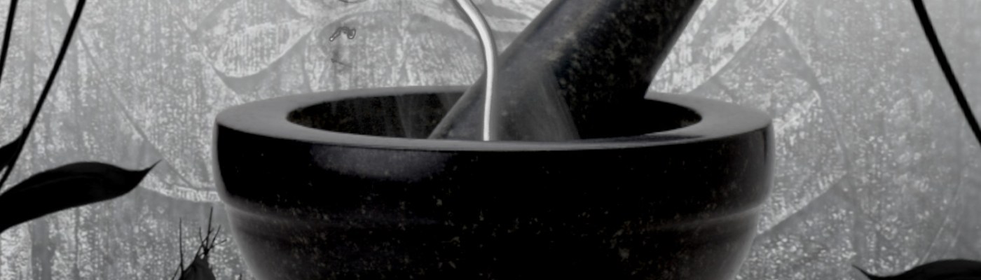 viking historical romance